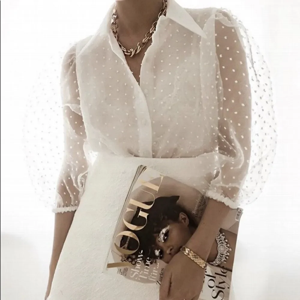 ZARA Organza Puff Sleeve Blouse Blogger Choice
